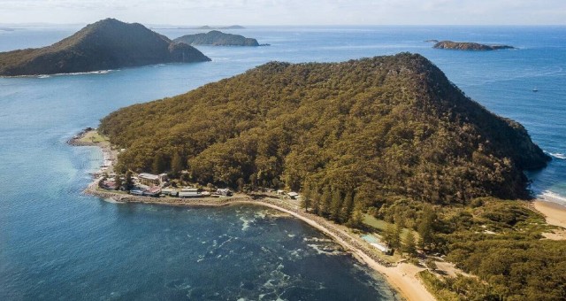 tomaree headland